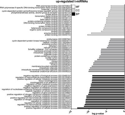 Acute changes in free and extracellular vesicle-associated circulating miRNAs and myokine profile in professional sky-runners during the Gran Sasso d’Italia vertical run